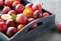 Fresh plums Royalty Free Stock Photo