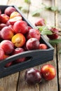 Fresh plums Royalty Free Stock Photo