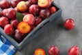 Fresh plums Royalty Free Stock Photo