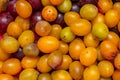 Fresh plums, healthy and organic fruit Royalty Free Stock Photo