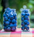 Fresh plums in jars prepared for canning Royalty Free Stock Photo