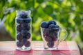 Fresh plums in jars prepared for canning Royalty Free Stock Photo