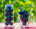 Fresh plums in jars prepared for canning Royalty Free Stock Photo