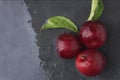 Fresh plums with leaves and water drops on a dark background. Copy space Royalty Free Stock Photo