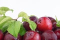 Fresh plums with leaves and water drops, macro photo. Texture background of fresh red plums. Copy space Royalty Free Stock Photo