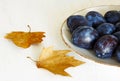 Fresh plums on plate, close up, brown fall leaves on neutral white table background Royalty Free Stock Photo