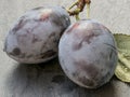 Fresh plums and plums slices close up on dark background Royalty Free Stock Photo