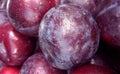 Fresh plums Royalty Free Stock Photo