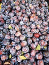 fresh plums texture Royalty Free Stock Photo