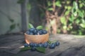 Fresh plums  in wooden bowl on old wooden Royalty Free Stock Photo