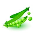 Fresh podded green peas. Legume plant. Vegetable for vegetarian, vegan kitchen, alcaline diet. Royalty Free Stock Photo