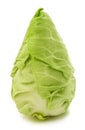 Fresh pointed cabbage