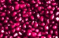 Fresh pomegranate close up background toned purple