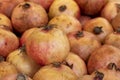 Fresh pomegranate in the market. Close up Royalty Free Stock Photo