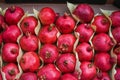 Fresh pomegranate for sale during street food festival Royalty Free Stock Photo