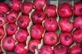 Fresh pomegranate for sale during street food festival Royalty Free Stock Photo