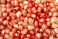 Fresh pomegranate seeds Royalty Free Stock Photo