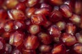 Fresh pomegranate seeds close up Royalty Free Stock Photo