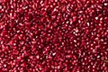 Fresh pomegranate seeds full frame background Royalty Free Stock Photo