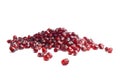 Fresh pomegranate seeds Royalty Free Stock Photo