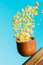 fresh popcorn flying out from a wooden bowl isoalted over blue background, levitation, food photography trend photo