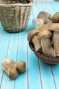 Fresh porcini mushrooms in earthenware basin on wooden turquoise table