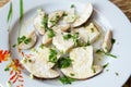 Fresh porcini mushrooms in salad with oil and parsley Royalty Free Stock Photo