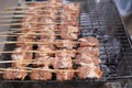 Fresh pork cut into pieces and then skewered on a grill