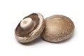 Fresh Portobello mushrooms Royalty Free Stock Photo