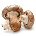 Fresh portobello mushrooms cutout, isolated, healthy, organic produce