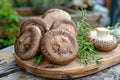 Fresh Portobello Mushrooms on Wooden Cutting Board with Rosemary Herbs in Rustic Outdoor Setting