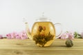 drink of tea with flower bloom inside a glass teapot Royalty Free Stock Photo