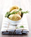 Fresh potato and fresh rosemary Royalty Free Stock Photo