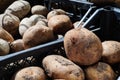 Fresh Potato On Greengrocer Royalty Free Stock Photo