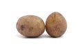 Fresh potato Royalty Free Stock Photo