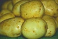 Fresh potato from my farm from Helambu Nepal