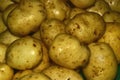 Fresh potato from my farm from Helambu Nepal
