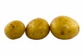 Fresh potato organic natural food, vegetarian vegatable , uncooked plant