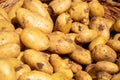 Fresh potatoes in a basket in a farmer agricultural open air market, seasonal healthy food Royalty Free Stock Photo