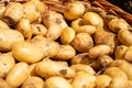 Fresh potatoes in a basket in a farmer agricultural open air market, seasonal healthy food