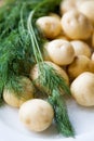 Fresh potatoes and dill Royalty Free Stock Photo