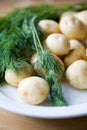 Fresh potatoes and dill Royalty Free Stock Photo