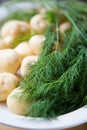 Fresh potatoes and dill Royalty Free Stock Photo