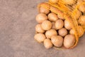 Fresh potatoes in a net on a brown textured background Royalty Free Stock Photo