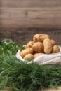 Fresh potatos in potato bag after harvest, dill, parsley, top view Royalty Free Stock Photo