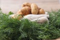Fresh potatos in potato bag after harvest, dill, parsley, top view Royalty Free Stock Photo