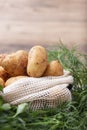 Fresh potatos in potato bag after harvest, dill, parsley, top view Royalty Free Stock Photo