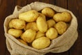 Fresh potatos in potato bag after harvest Royalty Free Stock Photo