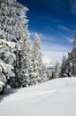 Fresh powder Royalty Free Stock Photo