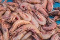 Fresh prawns or shrimp being sold at local market or fish market